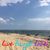 Deb Kochel's profile image