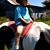 Hillbilly Hines's profile image