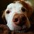 Rita Chumly's profile image