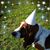 Jennifer Bigler's profile image