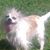 Catherine Cianos Echols's profile image