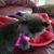 Linda Wagner's profile image