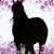 Leslie Fechtmann's profile image