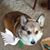Dolores Doebler's profile image