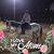 Bailey Thomas's profile image