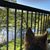 Debbie Broughan's profile image