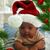 Josef Casimiro's profile image
