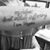 Donna Rae Crescioli's profile image
