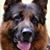 Ruth Black's profile image