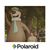 Crystal Moore's profile image