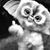 Sheries Sanchez's profile image
