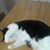 Audrey Hicks's profile image