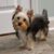 Cheryl Richard's profile image