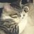 Tiffany Roden's profile image