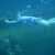 Laurie Ramirez Waterman's profile image