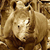G-M Wood Products's profile image