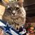 Melody Stabler's profile image