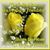 Sue M. Armstrong's profile image