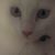 Marilyn Winsor's profile image