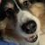 Jennifer Lynne Marra's profile image