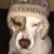 Lori Pfaff's profile image