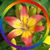 Donny Cross's profile image