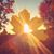 Kristen Kammer-Hattox's profile image