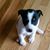 Debra Boster's profile image