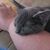 Barbara Langfitt Dash's profile image