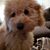 Amy Shaw Smith's profile image