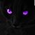 Melissa Gierszon's profile image