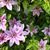 Heidi Reardon's profile image