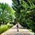Brandy Plunk's profile image