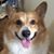 Jill M. Davis's profile image