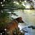 Sherrie Murphy's profile image