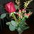 Peggy Estes's profile image