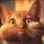Keath Graham's profile image