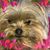 Bryan J Boyce's profile image