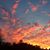 Janet Brown McCreary's profile image