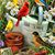 Debra Mays Burgess's profile image