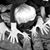 Kat Stephens Shelton's profile image