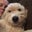 Keith Bryk's profile image
