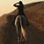 Lisa Hellgren's profile image