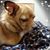 Debbie Woodard-Cameron's profile image