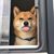 Sylvia R Brown's profile image