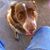 Ron Williams's profile image
