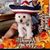 Brandon Scott Kroelinger's profile image