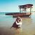 Carmen Elena Jaramillo's profile image