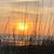 Linda Tise Edwards's profile image