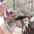 Shane Laney's profile image